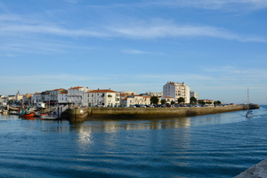 Traitement punaises de lit Les Sables-d'Olonne